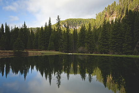 Pond Reflections at Cheyenne Crossing, Black Hills, SD